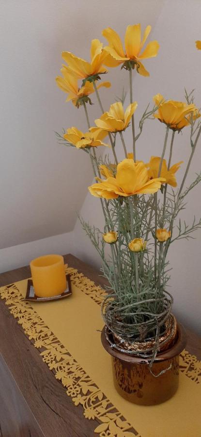 Napko Apartman Šoproň Exteriér fotografie